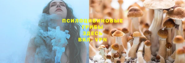 прущая мука Армянск