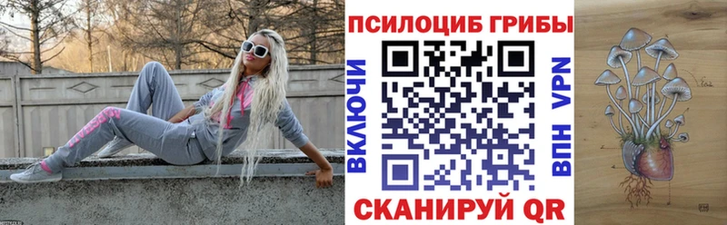 как найти Лаишево Галлюциногенные грибы GOLDEN TEACHER